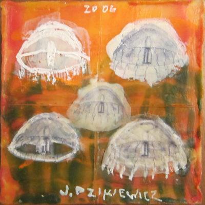 Jellyfish